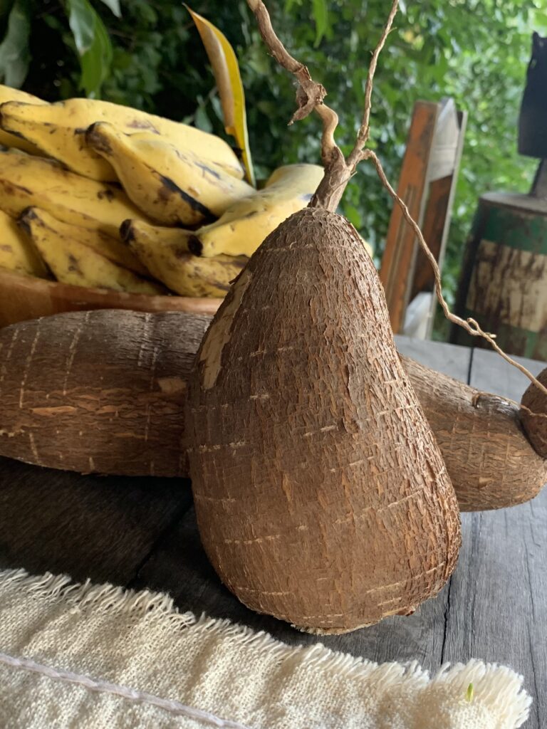 Imagem com duas raizes de mandica no centro da imagem e um cacho de banana ao fundo.