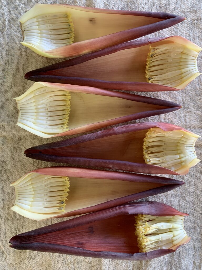Pétalas do coração de bananeira