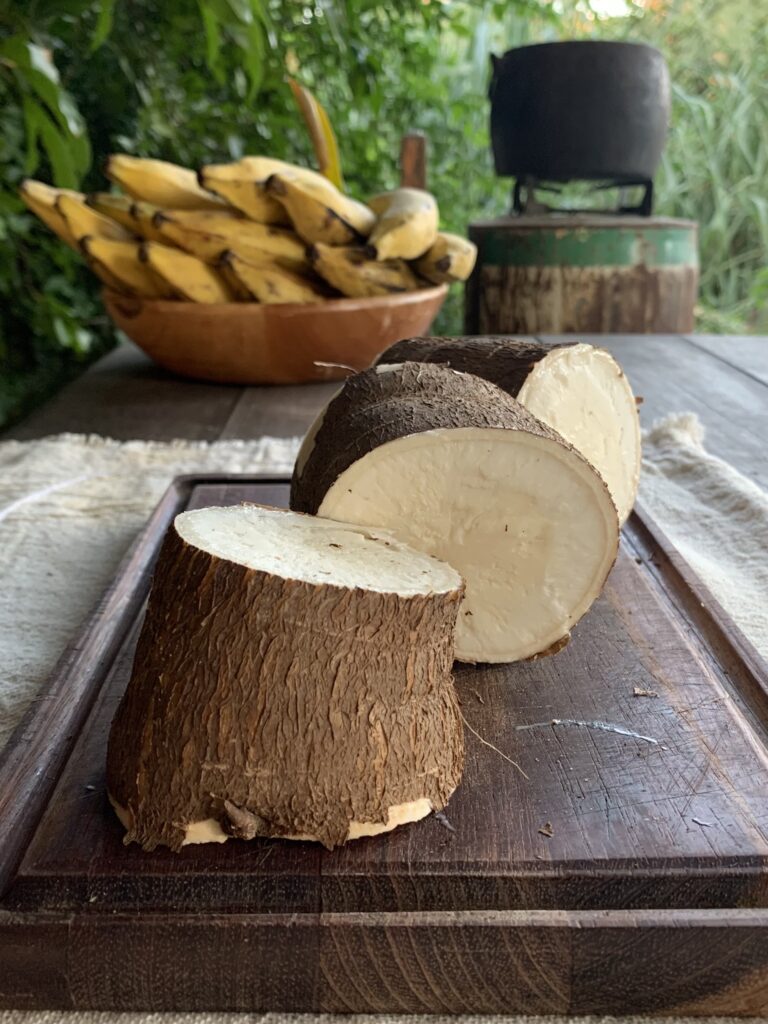 Mandioca cortada em três pedaços