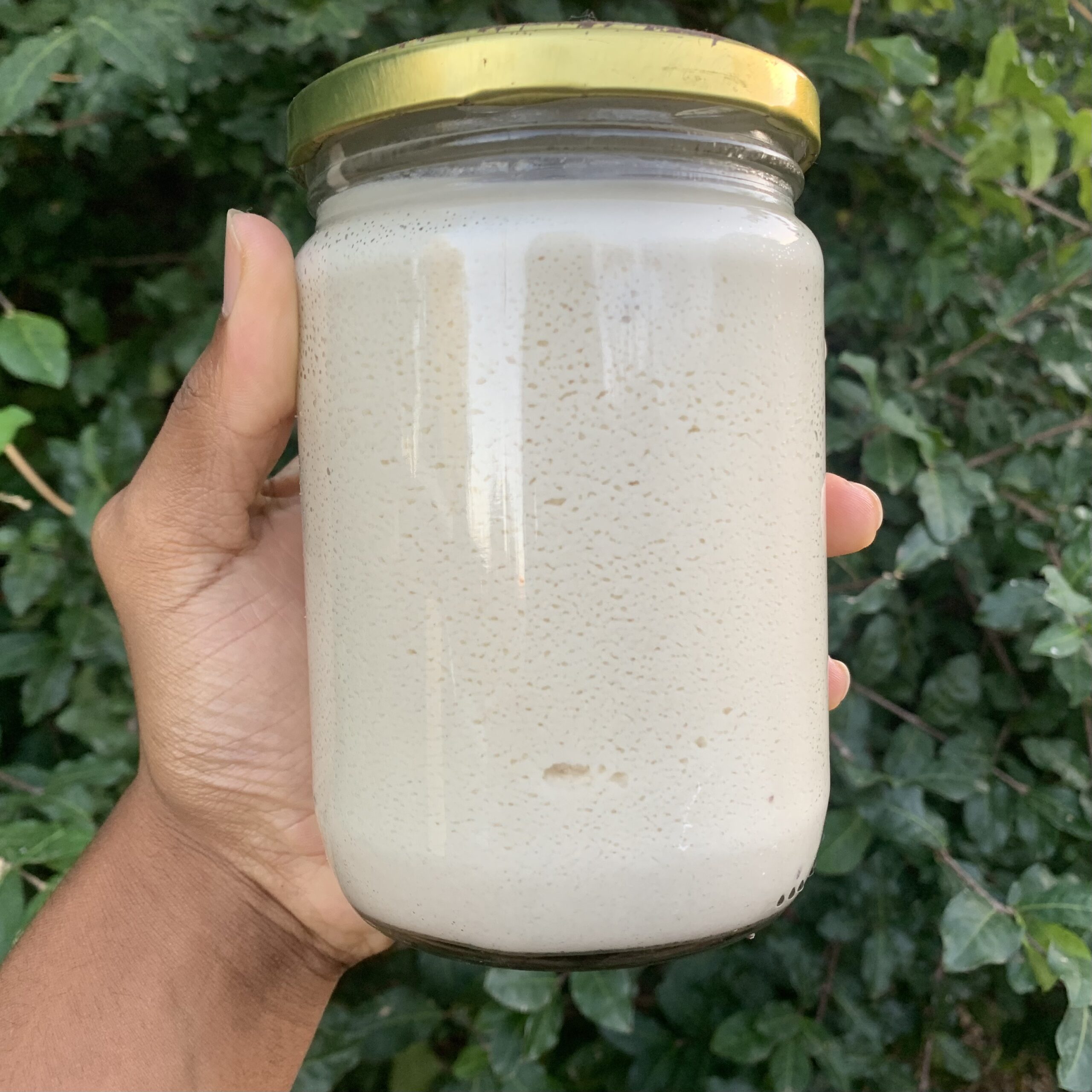 Iogurt de Castanhas e Inhame, Vegan Yorgut!